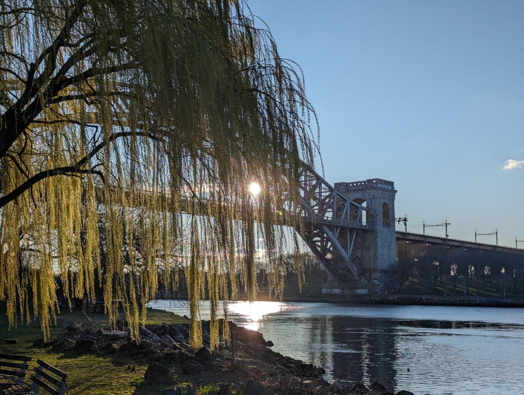 Randall's Island